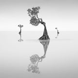 DANCING MANGROVE TREES 5
