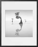 DANCING MANGROVE TREES 5