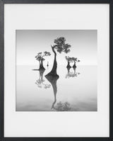 DANCING MANGROVE TREES 7