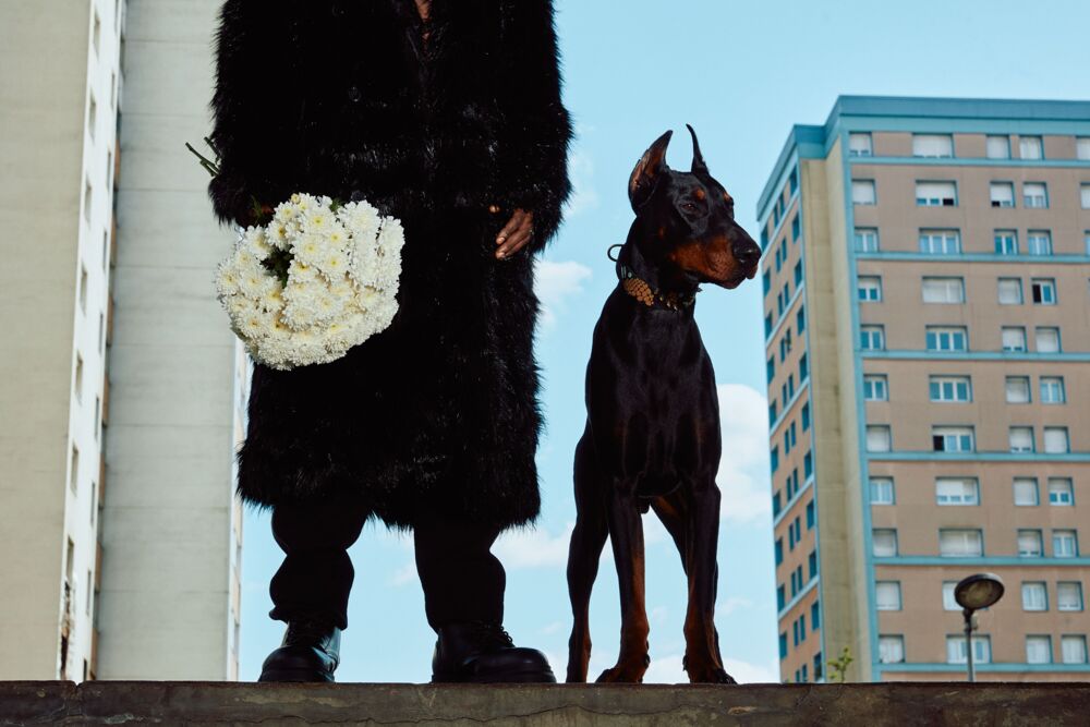 DOG LIFE – ROOM＋