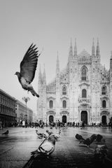 DUOMO DI MILANO II