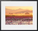 EARLY MORNING ON INLE LAKE