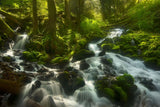 Enchanted Forest Columbia Gorge Oregon