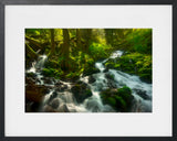 Enchanted Forest Columbia Gorge Oregon
