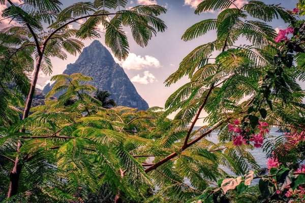 EXOTIC ST LUCIA