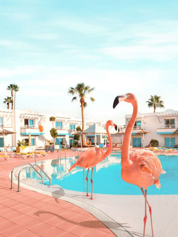 FLORIDA – ROOM＋