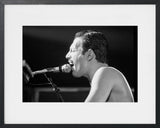 FREDDIE MERCURY SUR SCÈNE