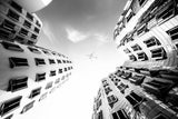 GEHRY BUILDINGS
