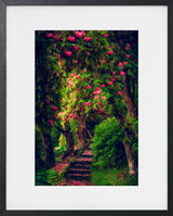 LE JARDIN MAGIQUE 1 