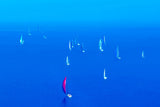 LES AMIS DU MISTRAL 
