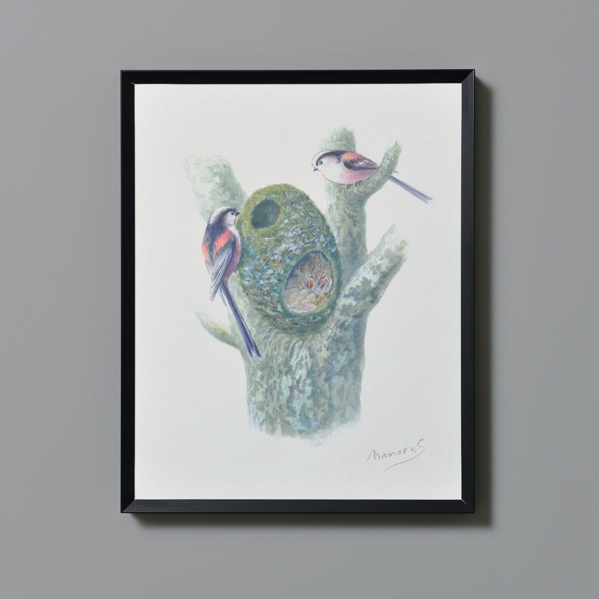 エナガ／Long-tailed Tit - 鈴木まもるのアート作品 – ROOM＋