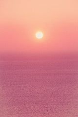 PINK HORIZON