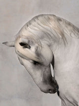 PORTRAIT OF GENERALE
