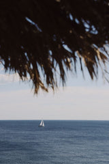 SAIL AWAY