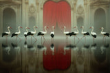 THEATRICAL REFLECTIONS