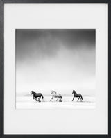 THREE HORSES