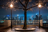THUNDERSTORM NIGHT NEW YORK CITY