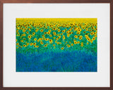 TOURNESOL ET LAVANDE