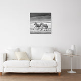 TWO STALLIONS PLAYING