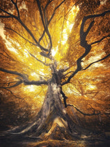 WITCH OF AUTUMN