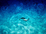 YING YANG LOVE IN MOTION