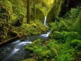 Fairyland Falls Columbia Gorge Oregonの作品画像