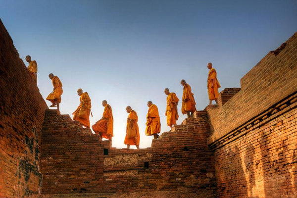 Moines Bouddhistes Nalanda Inde IIの作品画像