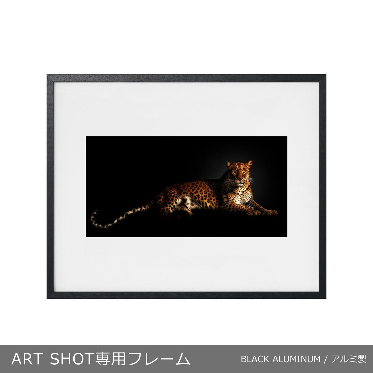 取り付け用フック（Jフック ダブル）YellowKorner専用