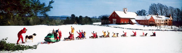 SNOWMOBILE AND SLEDS 1969の作品画像