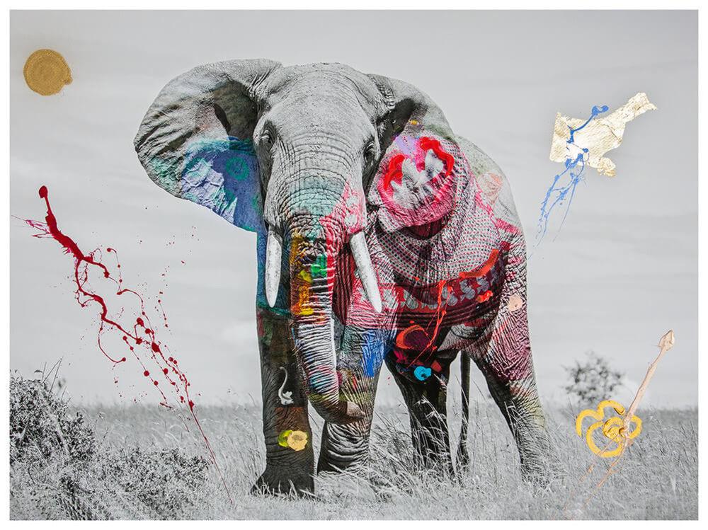 自然・動物のアート写真 - イエローコーナー公式オンラインショップ