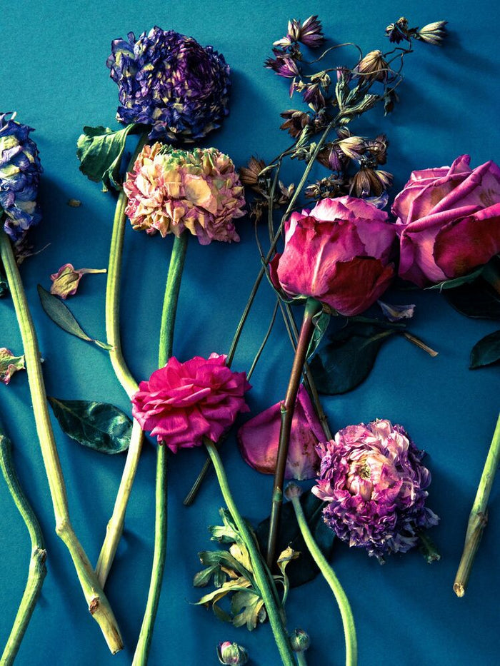 FLOWER STUDY 2 - イエローコーナーのアートフォト／写真作品 – ROOM＋