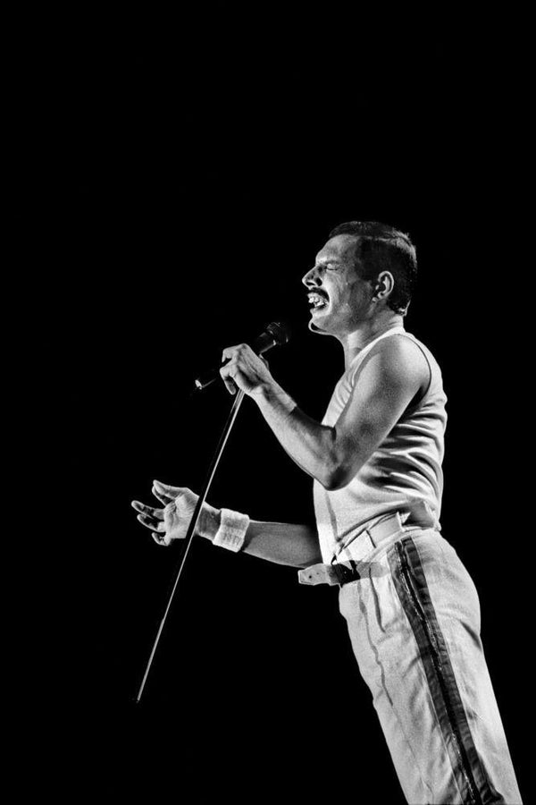 Freddie Mercuryの作品画像